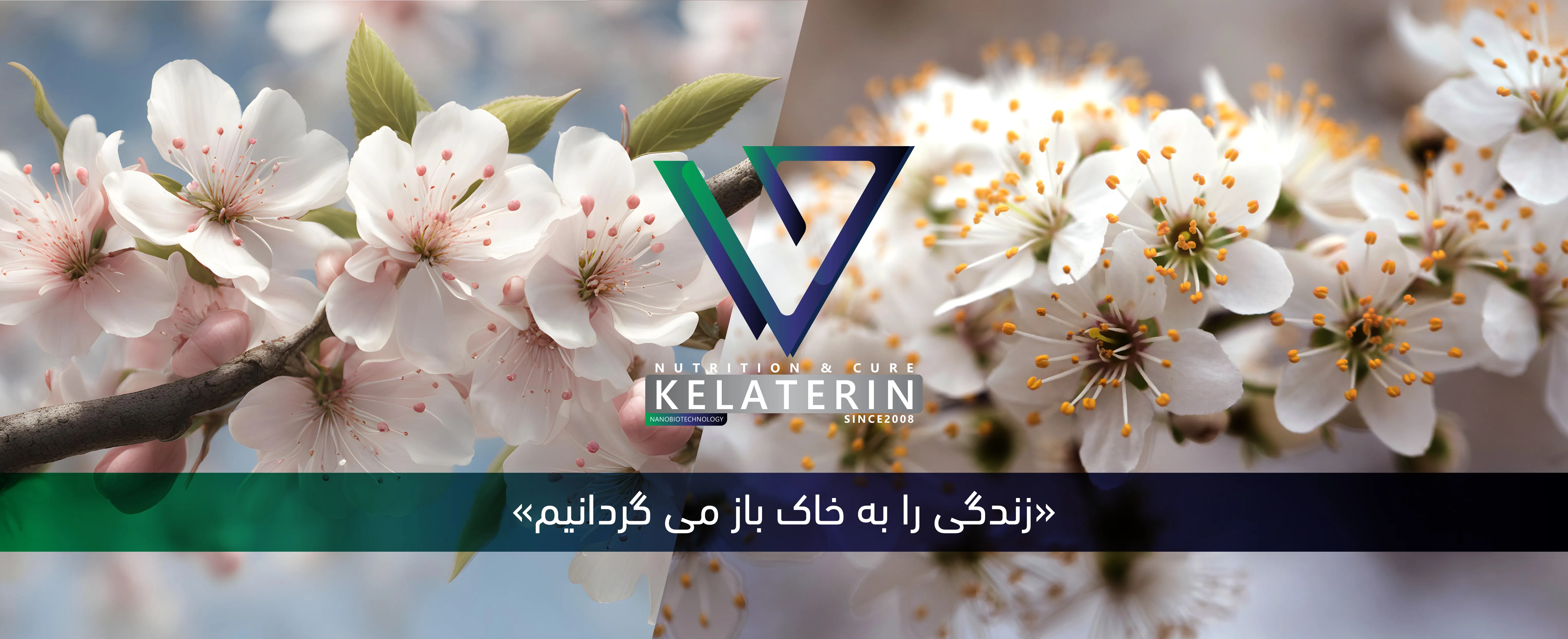Kelaterin